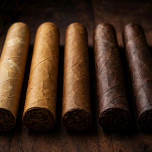 Maduro vs Connecticut Shade: Understanding Cigar Wrappers