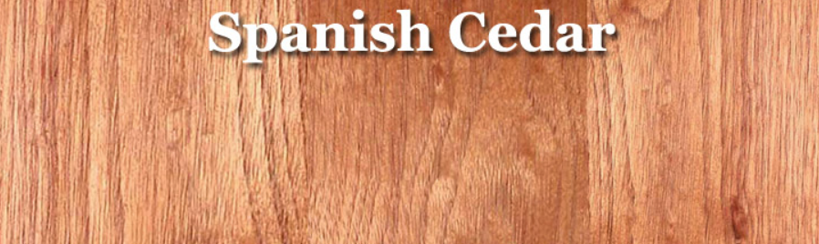 A close-up of a wood surface Description automatically generated